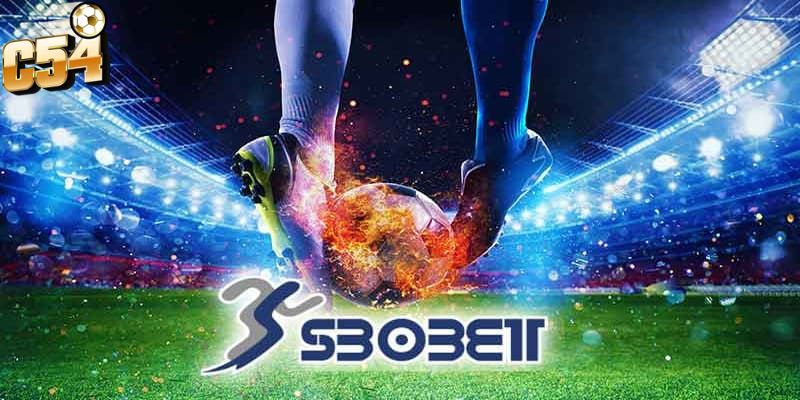 Cá cược SBOBET C54 tiền tiêu vô tư