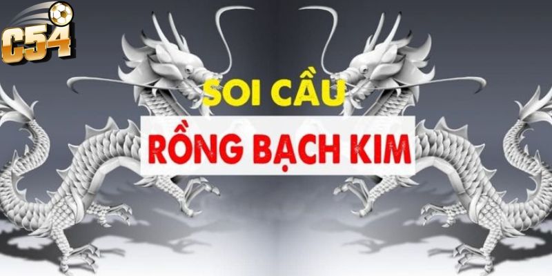 Những trường hợp soi cầu rồng bạch kim từ nhà cái c54